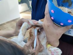 -拜鲁耶动物诊疗中心·宠家动物医院