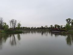 -九科绿洲