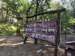 -井塘古村