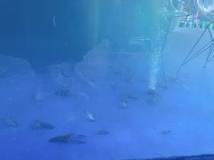 -SHRIMP CLUB万东餐饮钓虾·清吧