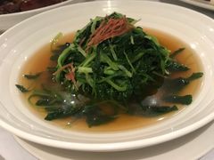 上汤鸡毛菜-苏浙汇(朝外店)