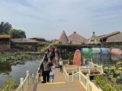-白洋淀景区