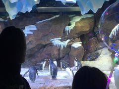 -波塞冬旅游度假区