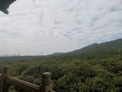 -灵谷景区
