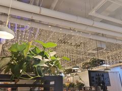 -京城·森鸽排档(双井店)