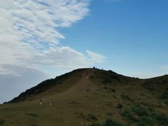 -大姆山草场