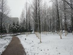 -河海大学(江宁校区)