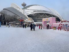 -沈阳奥体冰雪嘉年华