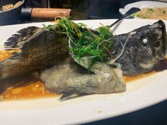 清蒸海石斑-达叔香味海鲜(海棠68环球美食街店)