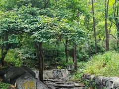 -阳台山自然风景区