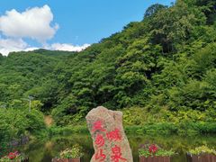 -天女山森林公园