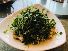 桃仁香椿苗-烤肉宛饭庄(北新桥店)