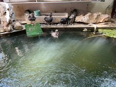 -湖鲜楼