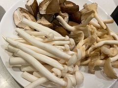 -古乐牛香·鲜牛肉牛杂火锅(新区店)