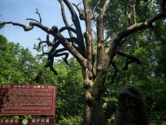 -北京密云天门山风景区