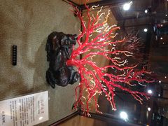 -绮丽珊瑚(台北101旗舰门市店)