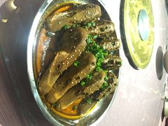 -秀丽东方