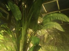 -南宫温泉水世界