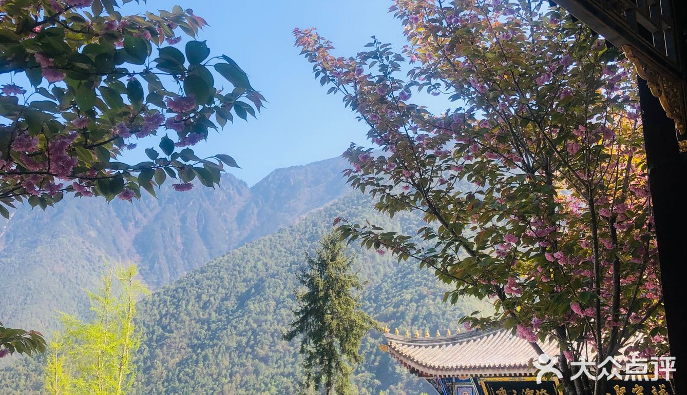 灵山寺 一座藏在深山里的寺庙