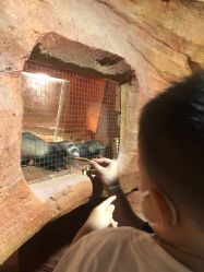 -酷嗒动物文化乐园(cutezoo西溪乐天城店)