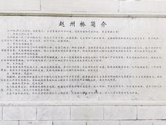 -赵州桥景区
