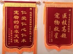 -宠爱国际动物医院· 猫科· 外科·中兽医(长白店)