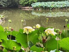 -北京动物园-畅观楼