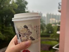 -圣爵菲斯大酒店(长沙世界之窗店)