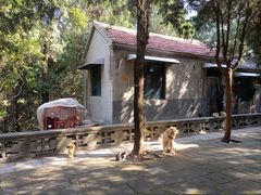 -四门塔风景区