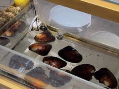 -十八字金银饰·拼豆·开蚌手工体验团建(君太百货店)