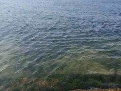 -海滨浴场