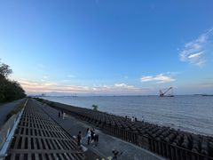 -上海滨江森林公园