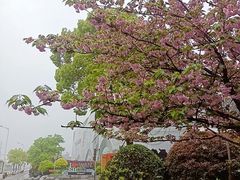 -万达广场(松江店)