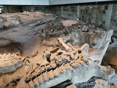 -自贡恐龙博物馆