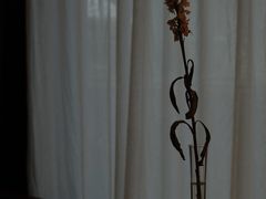 -MOJ coffee(瓯海泽雅水碓坑店)