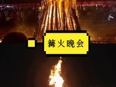 -栖露营camping·天幕烧烤·团建拓展·采摘营地
