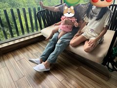 -上海崇明金茂凯悦酒店