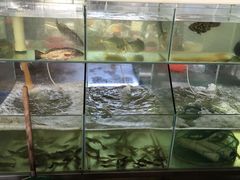 水产区-田源农家饭店·窑鸡王·海鲜(东部湾·融创店)