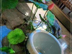 -小菜园新徽菜(芜湖奥特莱斯店)