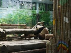 -灵玲国际马戏城