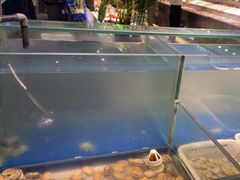 -海天牧场(银川商城店)