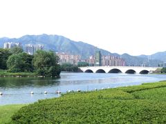-飞来湖湿地公园