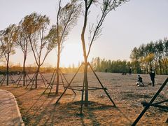 -东郊湿地公园
