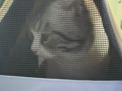 -全心全意连锁动物医院·特色中医诊疗(会城门分院)