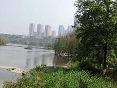 -重庆彩云湖湿地公园