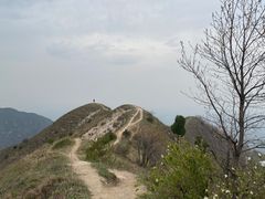 -秦岭风景区
