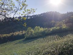 -敬亭山风景名胜区