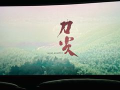 -万达影城(闵行颛桥万达广场杜比影院店)