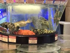 -陶陶居海鲜酒家(新马路店)