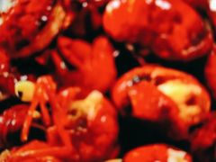 -伍氏猪脚(五一庙街店)